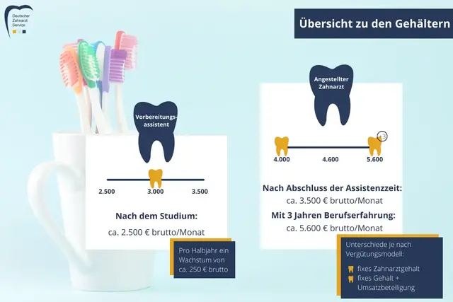 Grafik - Gehaltsübersicht für Zahnärzte und Vorbereitungsassistenten